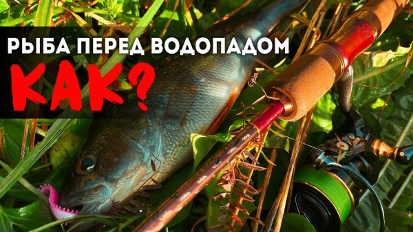 🎣 ЗАБЫТАЯ ТОЧКА С Крупным Окунем. Ловлю на спиннинг Fario Bronze 195см 1-6гр тубуляр #микроджиг