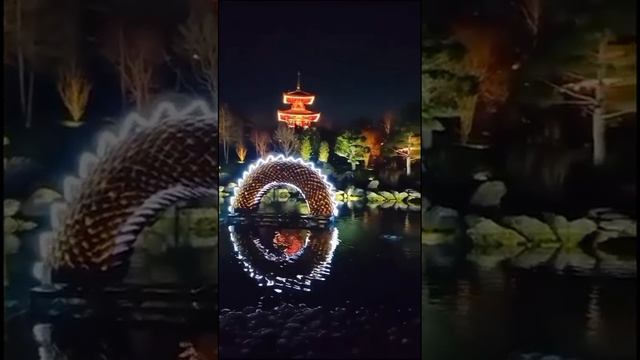 парк Галицкого