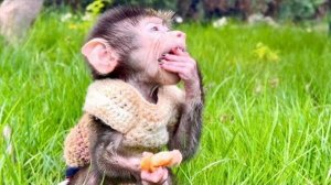 Анфиса такая СМЕШНАЯ! Есть мясо и аж трясется от УДОВОЛЬСТВИЯ!