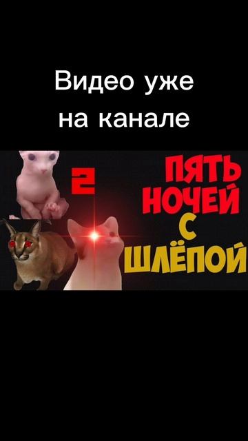 video_2025-10-12_19-31-56 смотреть онлайн