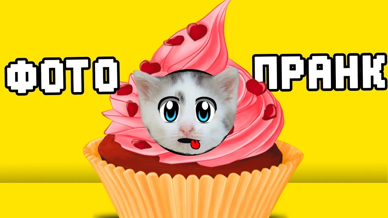 ПРАНКИ НАД КОТАМИ С ФОТО КАБИНКОЙ! [2019] смотреть онлайн