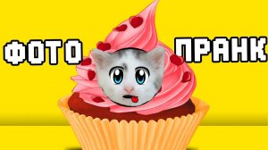 ПРАНКИ НАД КОТАМИ С ФОТО КАБИНКОЙ! [2019]