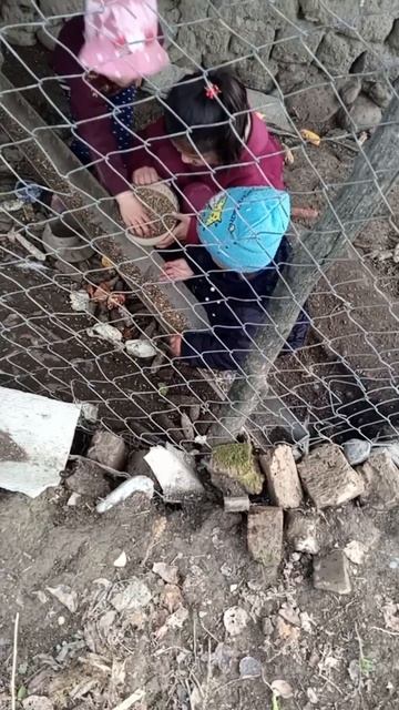 🙋♂️🙋♂️