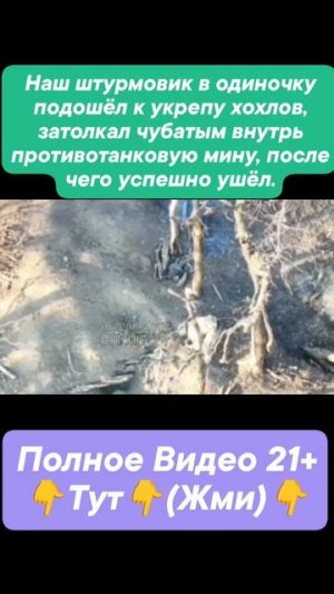 СВО👉ЖМИТЕ СЮДА👈