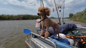 НАША РЫБАЛКА В АСТРАХАНИ база ТОРТУГА(часть1)