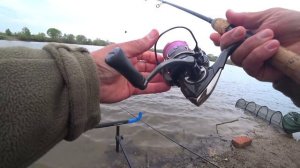 Фидер оз. Светлое Приморье лето 2025