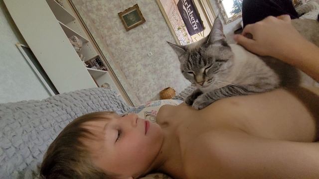 1000088911.mp4 смотреть онлайн