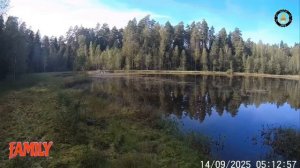 Семейный эндуро прохват. Петровское (14.09.2025)