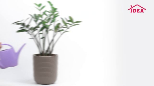 Кашпо БАБЛ IDEA смотреть онлайн