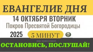 14 октября вторник Евангелие дня 2025 с толкованием #евангелие (5 минут)
