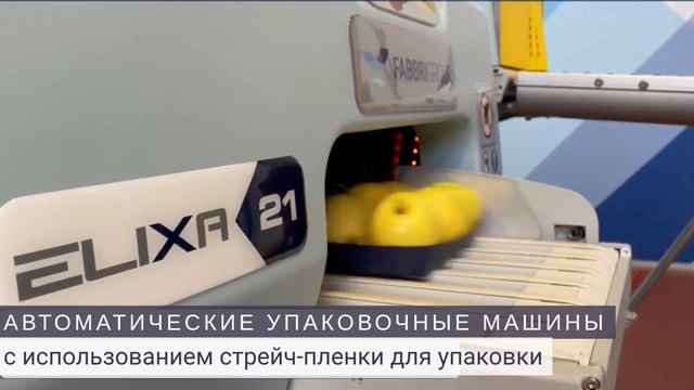 Решения для упаковки овощей