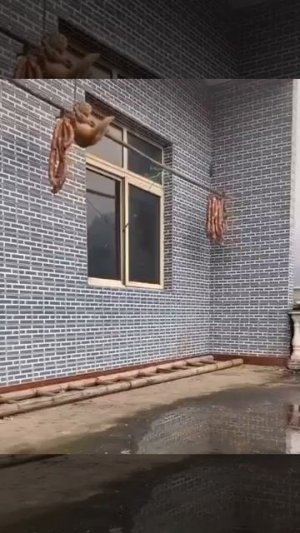 Миссия невыполнима