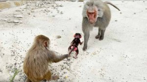 Малец чуть не удрал к Деду, хочет правит вместе с батей! Мать крепко держит дитя за хвост!ДОМ2