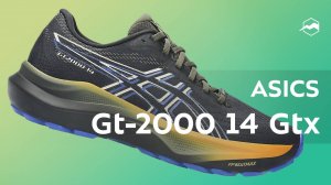 Кроссовки ASICS Gt-2000 14 Gtx