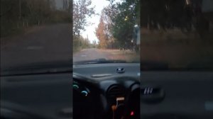 Мой день во ВкусВилл.