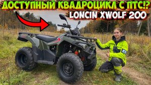 ДОСТУПНЫЙ КВАДРОЦИКЛ С ПТС!? ОБЗОР И ТЕСТ-ДРАЙВ LONCIN XWOLF 200!