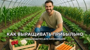 Высокорентабельное овощеводство для начинающих