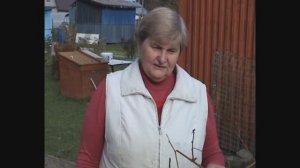 Виноград. Обрезаем и черенкуем .