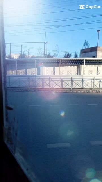 Поездка в зоопарк