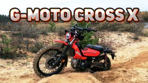 G-Moto Cross X и осенний лес