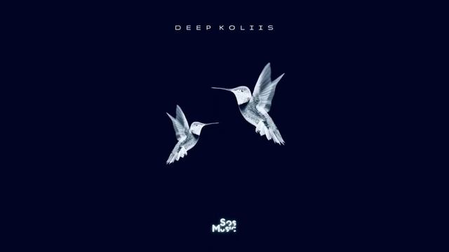 Deep Koliis I Flew With Taba смотреть онлайн