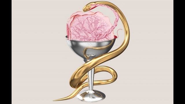 Плацента обетованная 13 октября 2025 - «Милицейское братство»