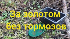 За золотом без Тормозов