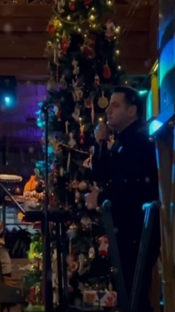 ВЛАДИСЛАВ ОГАНОВ-Синий иней (кавер гр.Премьер министр)