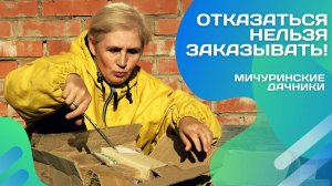 Соблазнилась саженцами от Мичуринских дачников — и ни капли не жалею!