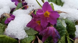 Первое мая, год двадцать пятый