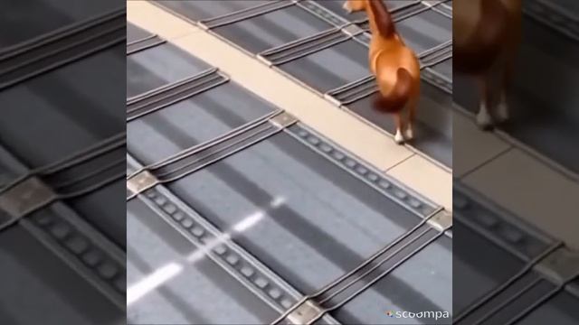 Сумочки. Мои работы. Ожившие животные. смотреть онлайн