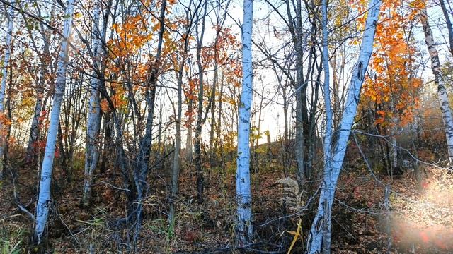 Я влюбилась смотреть онлайн