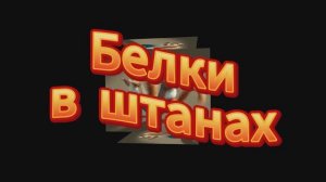 «Белки в штанах» (оригинальное название «Squirrels In My Pants») Забавная хип-хоп композиция.