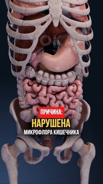 Причины всех болезней смотреть онлайн