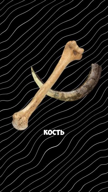 ВОЛК ПРОТИВ КАБАНА, КТО СИЛЬНЕЕ?! #тепловизор #охота #тепловизордляохоты #оружие #патрон смотреть онлайн