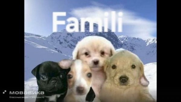 СР-125_Каштанова Екатерина_Kosygin students at home and on the road