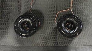 Piranha TW-04 - Эстрадный рупор от DL- AUDIO способный играть громко и чисто