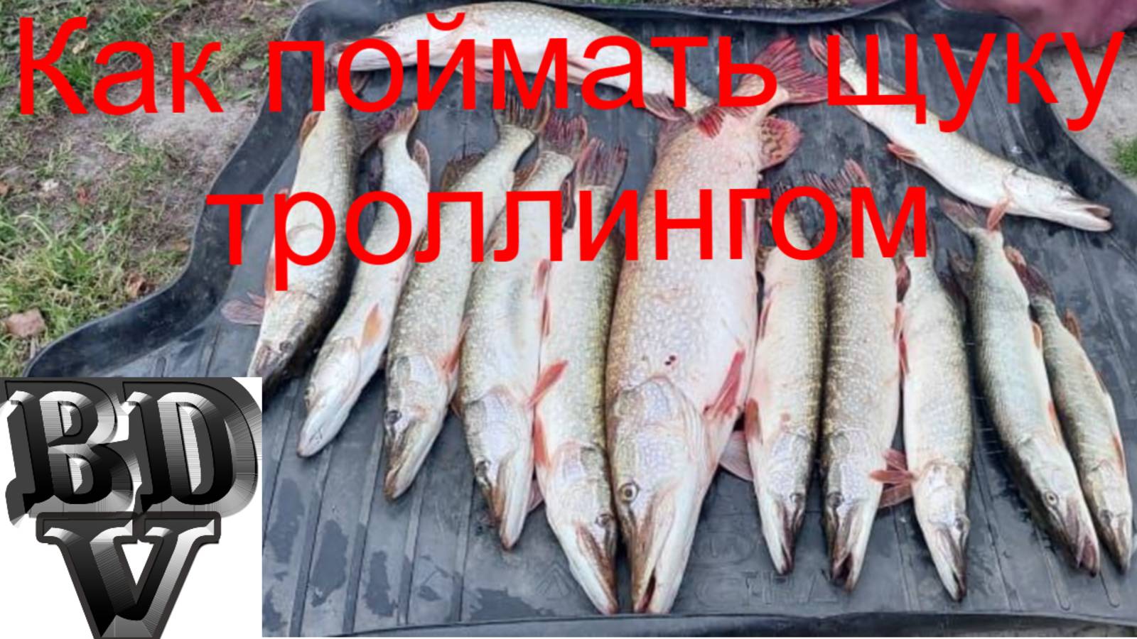 Как поймать щуку троллингом!!! (Трофей  5.5 кг)