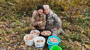 Жизнь в деревне 🏡//Собираем ОПЯТА на продажу//кто ищет тот всегда найдёт//