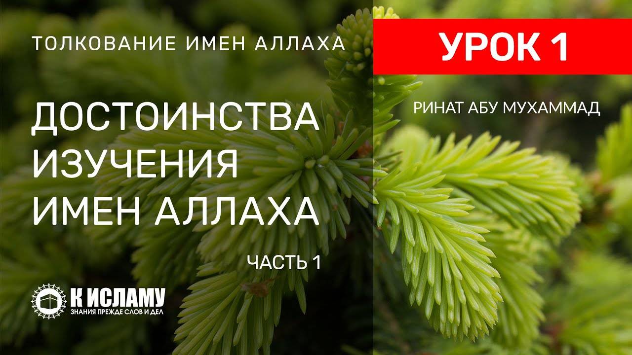 1) Достоинства изучения имен Всевышнего Аллаха. Часть 1 | Ринат Абу Мухаммад смотреть онлайн