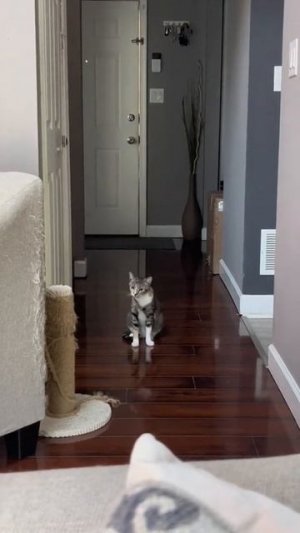 Как же они любят петь