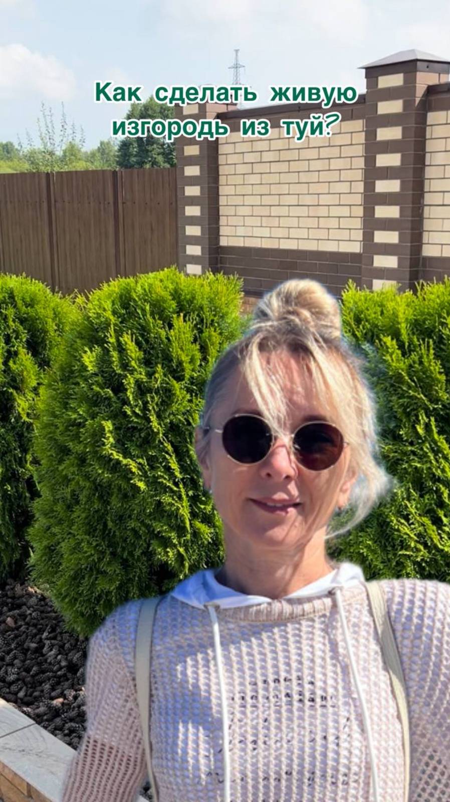 Как сделать живую изгородь из туй? смотреть онлайн