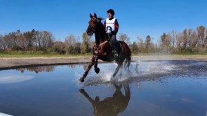 Троеборье. Всероссийские соревнования по конному спорту. Осень 2025. Хакасия. КСК Рыжая Лошадь.