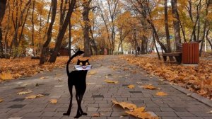 Песенка городского кота