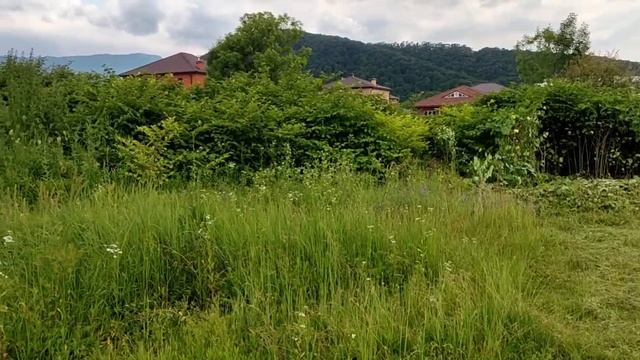 Video_2025-10-13_12-07-14