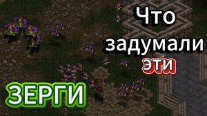 САМЫЙ АГРЕССИВНЫЙ зерг в Старкрафте на сегодня ТЕРРОРИЗИРУЕТ террана Rush: ZeLoT и его стратегии!!