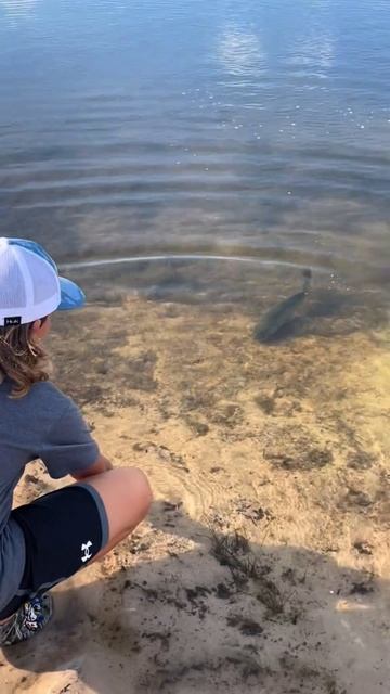 Хищник смотреть онлайн