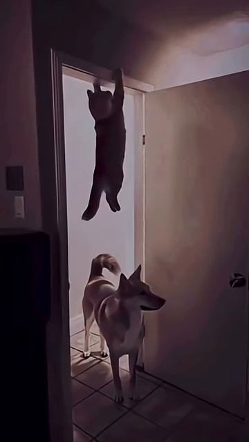 Не куда бежать смотреть онлайн