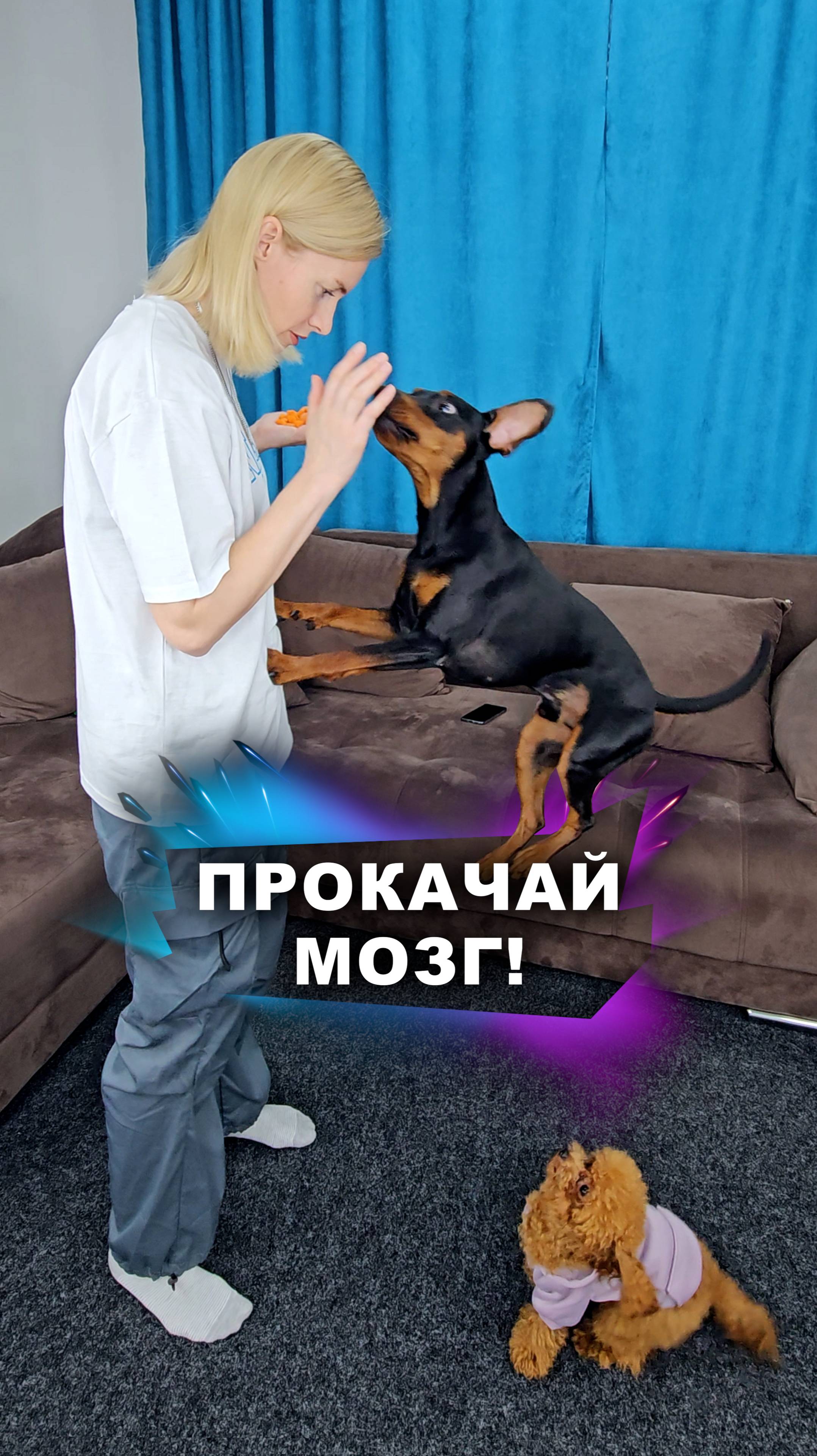А ещё это бывает весело #животные смотреть онлайн