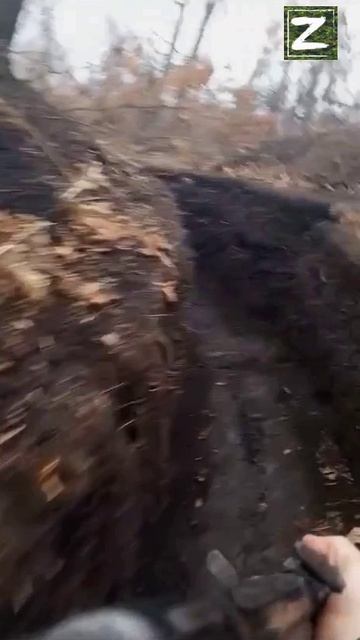 СВО смотреть онлайн